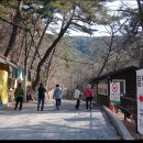 삼삼농장 | [260320 당버여]<원주 구룡사-원주시장, 강원감영-섬강자작나무숲-딸기체험>