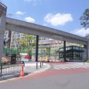 역동초등학교 이미지