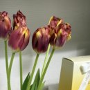 소문난부자돼지국밥임수점 이미지