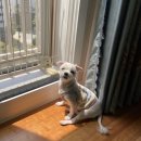 내황유치원 | 2023. 5월 일상 (3,4,5주)