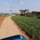 (주)서상국제 이미지