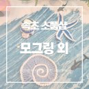 속초사잇길 제1길 | 속초｜속초 여행 기념품 어디서 살까? 속초 소품샵 4곳 직접 다녀온 솔직 후기