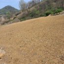 덕산면049 Daum카페