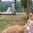 홀인원펜션 이미지