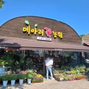 강동꽃농원 이미지