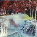 운장산 넘는길 | 드라이브코스 원하시는 시간,장소로 선택하세요