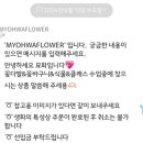 묘화꽃 이미지