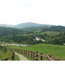 삼양목장 이미지