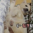 힐링주의