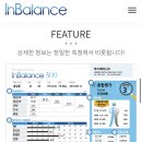 인발란스 이미지