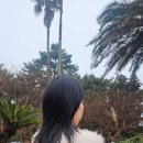 워크룸오브퍼프 이미지