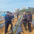 고창군농업기술센터 이미지