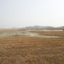 어섬캠핑장 네이버블로그