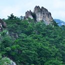 곡성-199 Daum카페