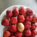 용광농장 이미지