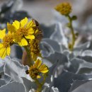 우리지역아동센터 이미지