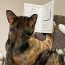 제이든 | 결혼준비 ep3. 셀프 청첩장 후기/비즈하우스/제이든앤루시/테무