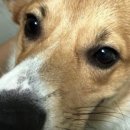 샘머리1단지 이미지