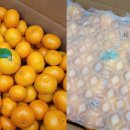 제주농장 이미지