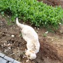 경남WITH시스템
