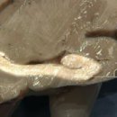 효준목장 이미지