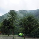 와라쉼터