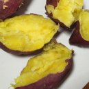 김일환 농장 이미지