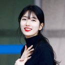 수지 티브이데일리