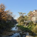 서울대학교 이미지