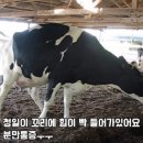 소번식경영아카데미 이미지