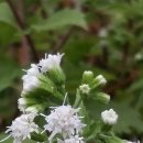 우면산3-10 이미지