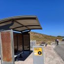 삼호로 31 앞 교통섬 | 로트네스트 섬(Rottnest Island)에서 만난 행복한...인형 구매ㅣ프리멘틀 마켓(Fremantle Markets) 후기