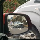 자연앤팜 이미지