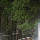 운해 | 천마산관리소 코스 새벽산행 후기｜운해 보러 갔다가 곰탕 먹고 온 날