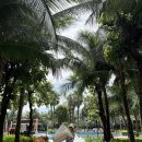 해변 | 푸꾸옥 프리미어 레지던스 리조트 수영장 캠비치 전용 해변 추천 후기