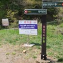 명산건강원 | 금강산 등산 코스 이야기