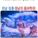 정남진천문과학관 | 전남 장흥 가볼만한곳 정남진 물과학관 체험 후기