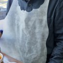 경북 경산시 옥산동 돼지갈비 무한리필 맛집 &#34;갈무리&#34; 추천 후기