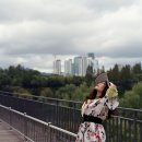 강진사