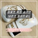 황금복싱 | 하울프 복싱 글러브 16온스 화이트골드 후기