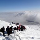 2014년1월18일~19일 제주도 윗세오름 등반 및 관광 이미지