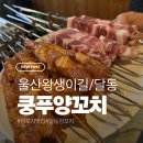 어리버리양꼬치 | 달동 양꼬치 맛집 ‘쿵푸양꼬치’ 내돈내산 후기