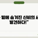 오대양
