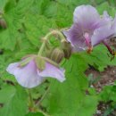 청한농장 이미지