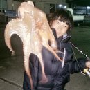 이프로 - 동대문구 왕산로32길 83 | 이프로