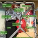이불커튼아울렛 | 5개월 아기랑 SRT타고 부산여행 / 원조부산밀면 / 롯데아울렛방문