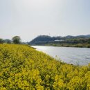 나주종합스포츠파크 건너편 이미지