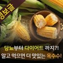 당뇨부터 다이어트까지 ? 알고 먹으면 더 맛있는 옥수수 이미지