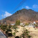 상궁목장 이미지