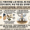 건강태극권(입문) 네이버블로그